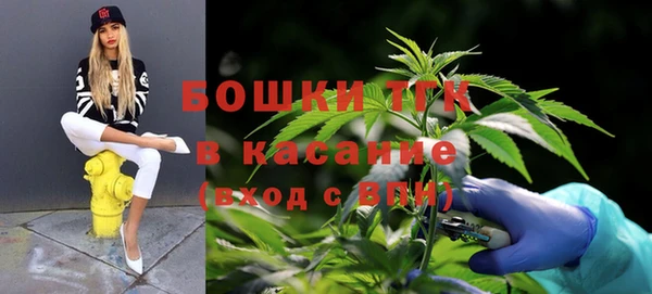 ECSTASY Богданович