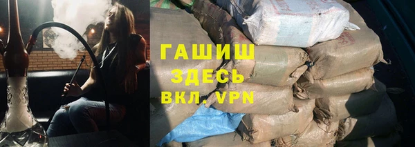 ECSTASY Богданович