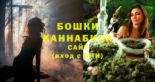 ECSTASY Богданович