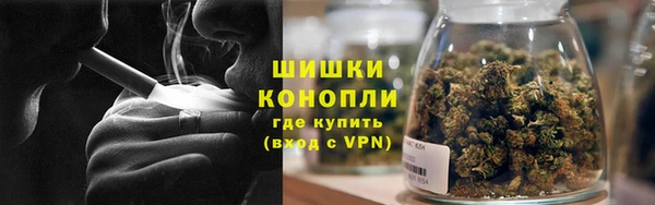 ECSTASY Богданович