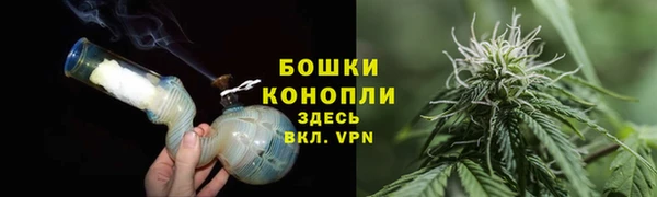 ECSTASY Богданович