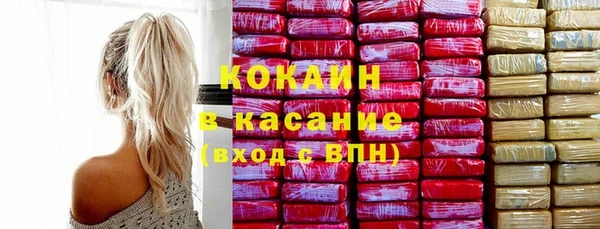 ECSTASY Богданович
