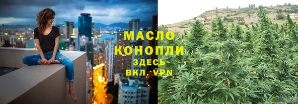 ECSTASY Богданович