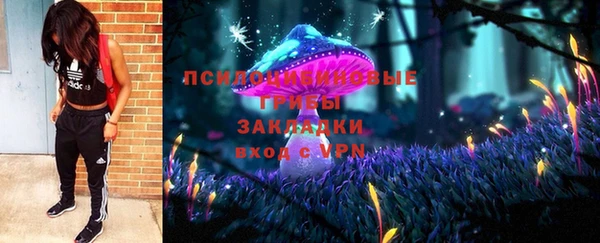 эйфоретик Богородицк