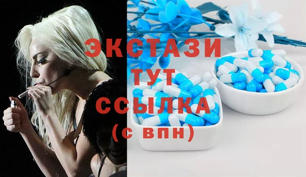 ECSTASY Богданович