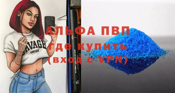 ECSTASY Богданович
